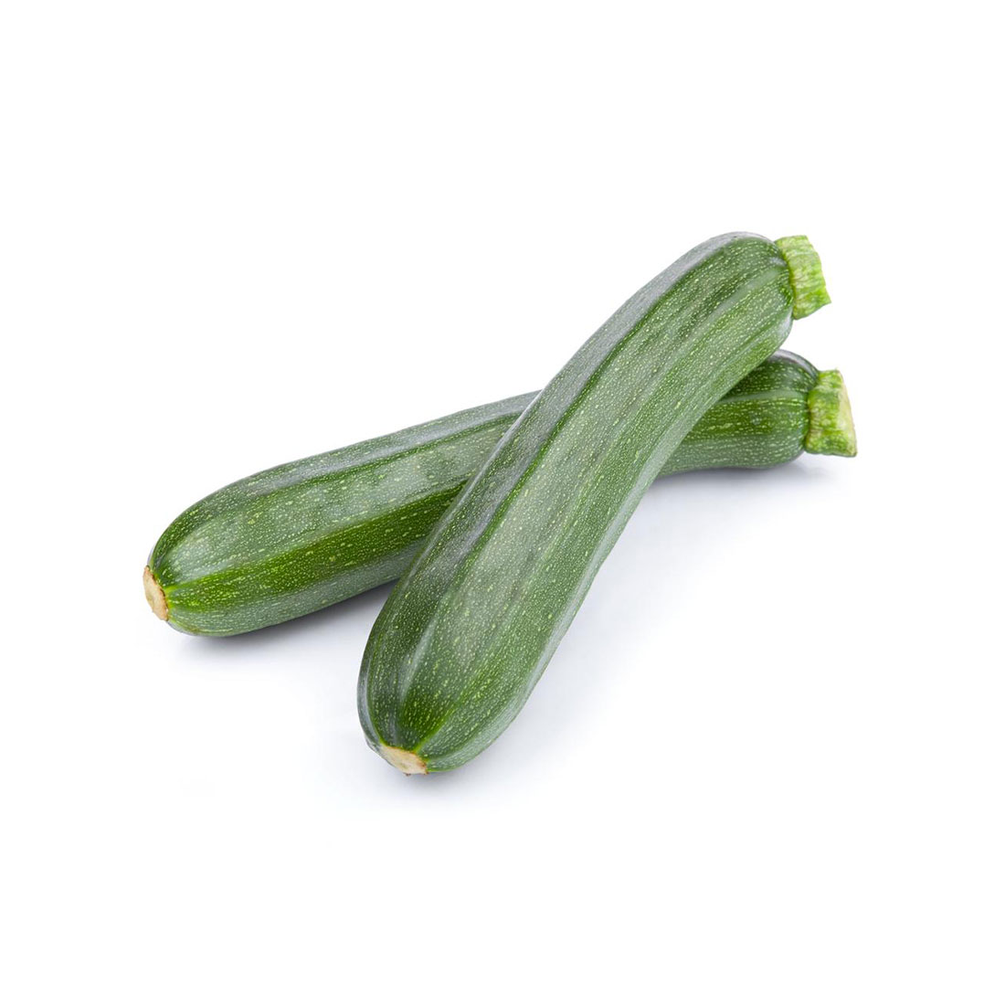 Zucchino