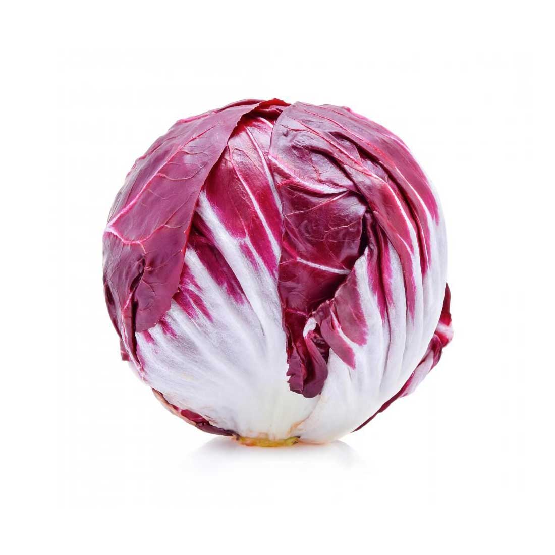 Radicchio